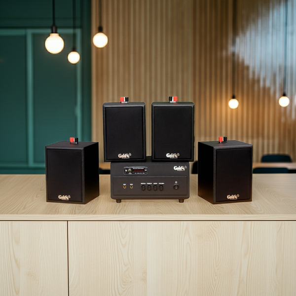 Dàn loa treo tường: Amply A154PU Goldsound 150w + 4 loa Goldsound V24c - 24w, loa được thiết kế riêng cho quán, bật lớn không tạp âm, bảo hành dài hạn 5 năm.