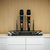 Micro không dây NS M1