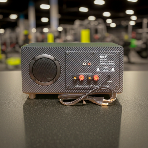 Amply tổng A384_SG Goldsound 2 phân vùng đầu ra (380w, đủ kết nối Bluetooth, RCA, AV, USB)