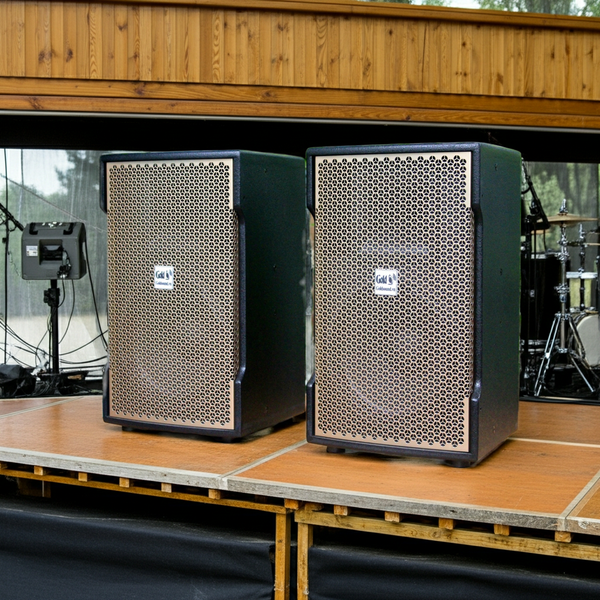 Loa Goldsound V238 phiên bản Gold (Số lượng 1 loa), công suất 238w, loa bass 30 cm, treble kèn, kích thước rộng 37 cm, cao 62 cm, sâu 37 cm, bảo hành dài hạn 5 năm.