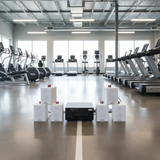 Loa hộp treo tường thông báo phát nhạc nền tự động Gold4cafe 6.0 (01 amply + 06 loa treo tường màu trắng), Amply 2 vùng âm lượng, loa được thiết kế riêng cho quán, bật lớn không tạp âm, bảo hành dài hạn 5 năm.