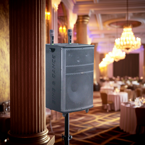 Loa kéo D570 Goldsound (Bass 40cm, 750w, kèm 2 Micro, pin 3-4H)