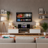 DÀN KARAOKE GOLD120C (AMPLY 1200W + 2 V120+ bộ micro không dây + Vang) - Hàng trưng bày đồng giá cuối năm