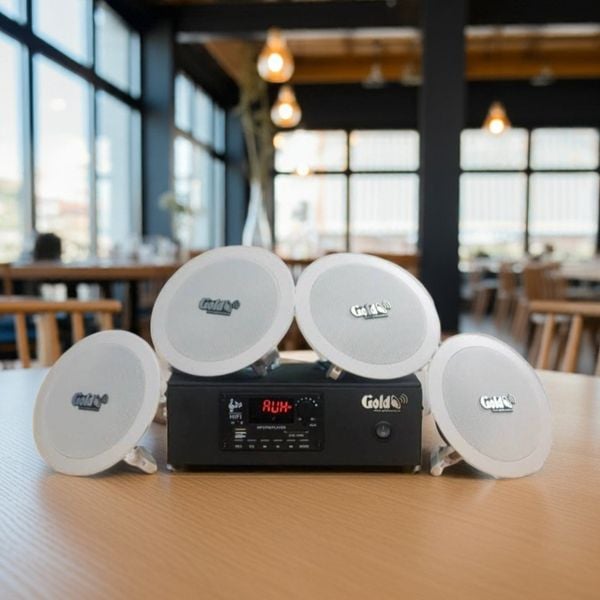 Top 10 loa âm trần phát nhạc nền tự động cho cửa hàng, văn phòng, siêu thị, tòa nhà, loa được thiết kế riêng cho quán, bật lớn không tạp âm, miễn phí công lắp đặt, bảo hành dài hạn 5 năm.