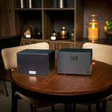 Loa treo tường V101 SG Goldsound (Số lượng 1 loa)