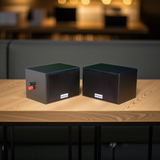 Loa treo tường V101 SG Goldsound (Số lượng 1 loa)