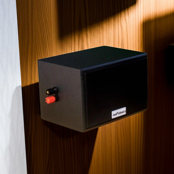 Loa treo tường V101 SG Goldsound (Số lượng 1 loa)