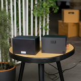 Loa treo tường V101 SG Goldsound (Số lượng 1 loa)