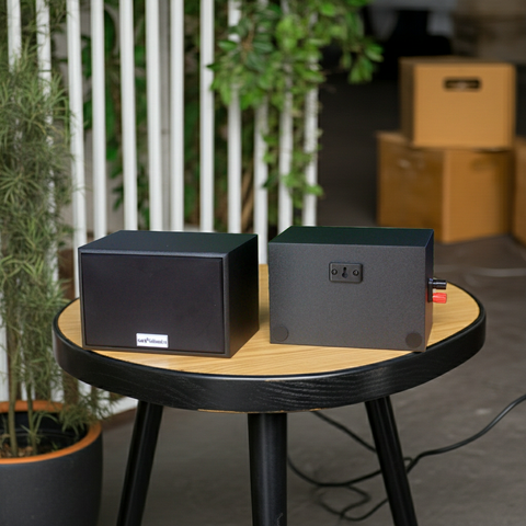 Loa vệ tinh quán cafe V101 SG Goldsound (Số lượng 1 loa)