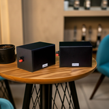 Loa treo tường V101 SG Goldsound (Số lượng 1 loa)