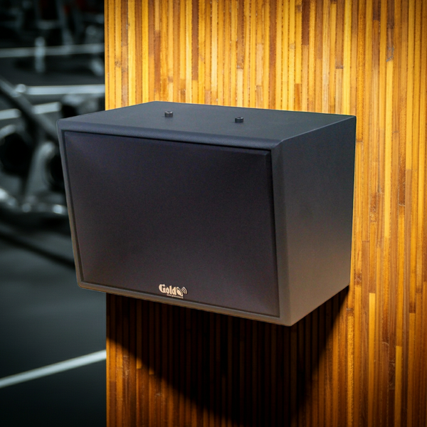 Loa treo tường V130PU MT SG, (Số lượng 1 loa), công suất 130w, loa bass 20 cm, treble 10 cm, kích thước rộng 37.5 cm, cao 28 cm, sâu 29 cm, phủ da cao cấp, bảo hành dài hạn 5 năm.