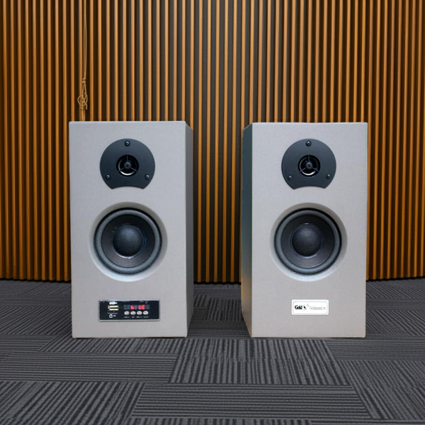 Loa vi tính HIFI 2.0 GS55