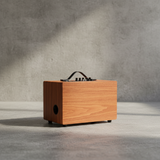 Loa nghe nhạc di động D99P, công suất 50w, pin 8 - 12h, bass 4 inch, 1 treble, bluetooth 5.0, 2 cổng cắm Micro, cổng rca, khe usb, thiết kế loa thùng gỗ cao 20 cm, rộng 32 cm, sâu 20 cm. Bảo hành 12 tháng