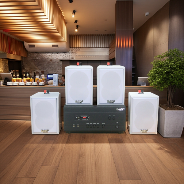 Loa thông báo, loa phát nhạc nền tự động A907PU-2K Goldsound 2 vùng âm lượng 900w + 4 loa Goldsound V25C màu trắng, loa được thiết kế riêng cho quán, bật lớn không tạp âm, miễn phí công lắp đặt, bảo hành dài hạn 5 năm.