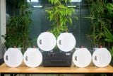 Top 10 combo loa âm trần, Loa thông báo, loa phát nhạc nền tự động cho quán, loa âm trần nhà hàng, yoga, shop, cửa hàng, Amply 4 - 6 vùng âm lượng, loa được thiết kế riêng cho quán, bật lớn không tạp âm, miễn phí công lắp đặt, bảo hành dài hạn 5 năm.