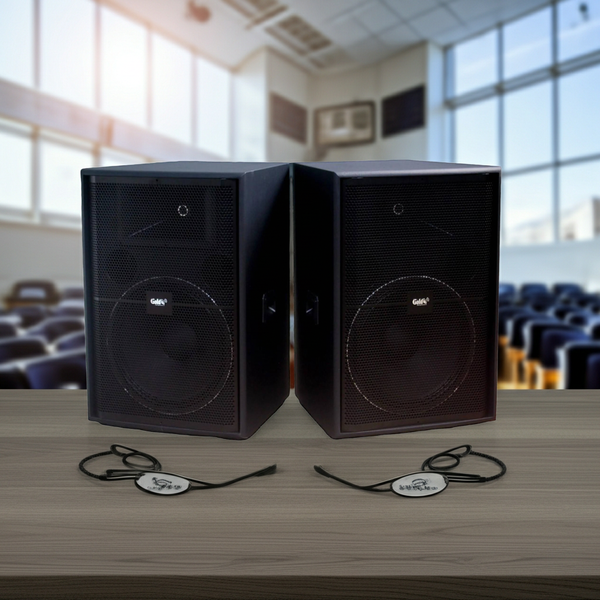 Loa V358PU_DA Goldsound (Full bass 40 cm) (số lượng 1 loa)