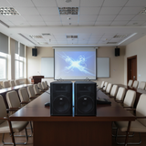 Loa V358PU_DA Goldsound (Full bass 40 cm) (số lượng 1 loa)