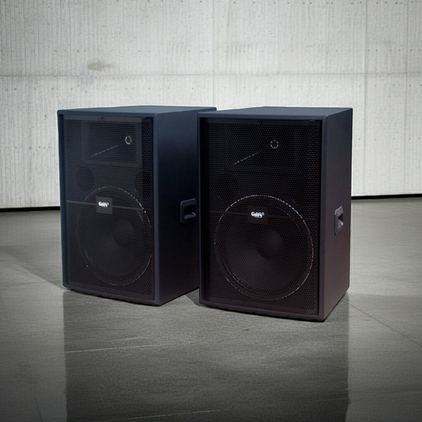 Loa V358PU Goldsound (Full bass 40 cm) (số lượng 1 loa)