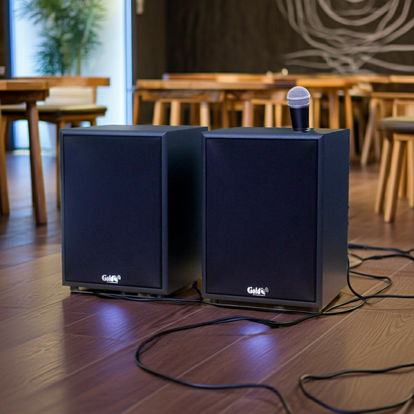 Loa vệ tinh treo tường V120 120w Goldsound (Số lượng 1 loa), công suất 120w, loa bass 20 cm, treble 10 cm, kích thước rộng 28 cm, cao 39.5 cm, sâu 27 cm, bảo hành dài hạn 5 năm.