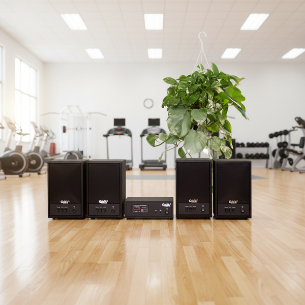 Dàn loa không dây treo tường, Loa thông báo, loa phát nhạc tự động: 01 amply A57 Goldsound + 4 loa không dây Goldsound V57 - 57w