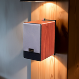 Loa vệ tinh treo tường V31 (1 loa)