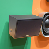 Loa thông báo ngoài trời NT130w - điện áp 100V (1 loa)