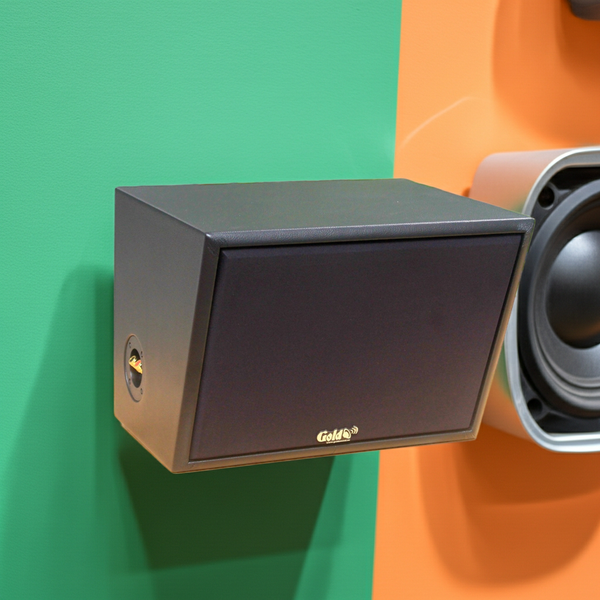 Loa thông báo ngoài trời NT130w - điện áp 100V (1 loa)