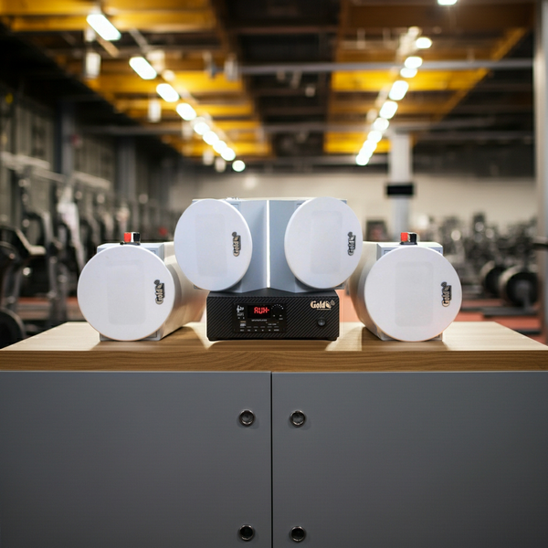 [Diện tích 60m2 + 1 Kênh] Loa thông báo, loa phát nhạc nền tự động Gold4Cafe 4.0: Amply A2.0 SG + 4 loa âm trần VAT12 SG, loa được thiết kế riêng cho quán, bật lớn không tạp âm, bảo hành dài hạn 5 năm.