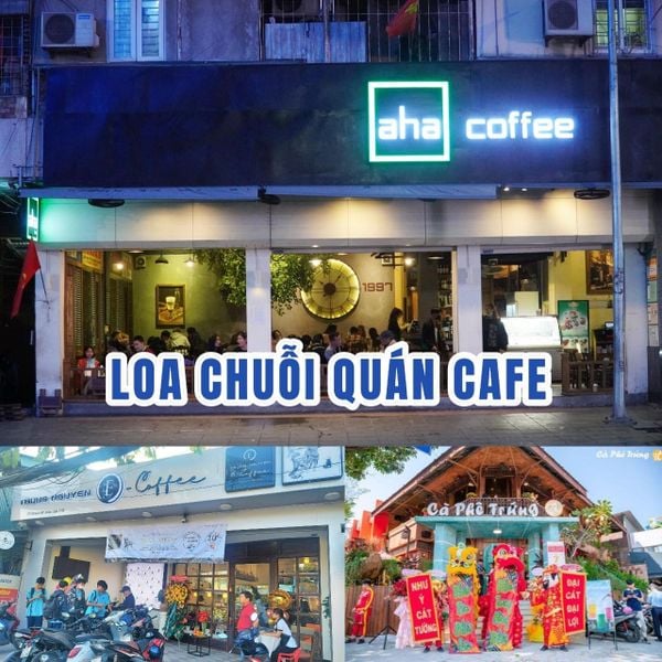 Top 11 loa phát nhạc nền cho cửa hàng, quán cafe, loa nhà hàng, được thiết kế riêng cho quán, bật lớn không tạp âm, miễn phí công lắp đặt, bảo hành dài hạn 5 năm.