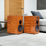 Loa vi tính HIFI 2.0 W127