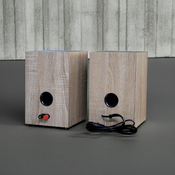 Loa bluetooth HiFi 2.0 GS51 Pro Goldsound (100w, Bluetooth 5.0, AUX, USB)