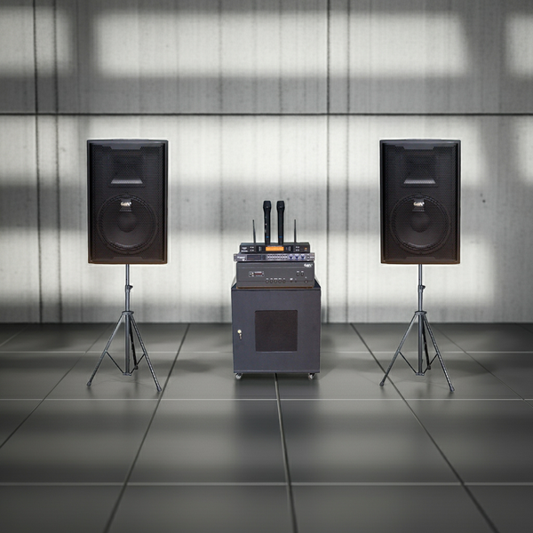 Loa hội trường, sân khấu E258: Dàn âm thanh sân khấu, sân trường, hội trường