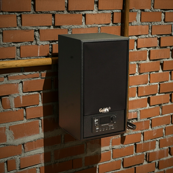 Dàn loa không dây treo tường: 2 loa không dây bluetooth TR88 - 88w tích hợp amply