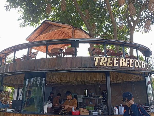 Loa cho TreeBee Coffee, Tây Hồ, loa được thiết kế riêng cho quán, bật lớn không tạp âm, miễn phí công lắp đặt, bảo hành dài hạn 5 năm