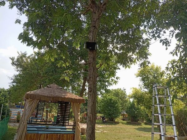 Loa cho TreeBee Coffee, Tây Hồ, loa được thiết kế riêng cho quán, bật lớn không tạp âm, miễn phí công lắp đặt, bảo hành dài hạn 5 năm