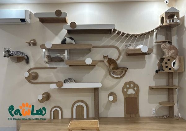 Loa treo tường phát nhạc nền cho Pawla Pet Coffee, TP.HCM, loa được thiết kế riêng cho quán, bật lớn không tạp âm, miễn phí công lắp đặt, bảo hành dài hạn 5 năm