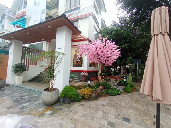 Loa phát nhạc nền tự động quán cafe tại Hà Đông, loa được thiết kế riêng cho quán, bật lớn không tạp âm, miễn phí công lắp đặt, bảo hành dài hạn 5 năm