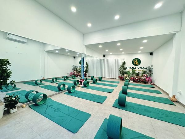 Loa cho Thana Yoga - Quận Tân Phú, loa được thiết kế riêng cho quán, bật lớn không tạp âm, miễn phí công lắp đặt, bảo hành dài hạn 5 năm