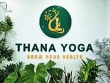 Loa cho Thana Yoga - Quận Tân Phú, loa được thiết kế riêng cho quán, bật lớn không tạp âm, miễn phí công lắp đặt, bảo hành dài hạn 5 năm
