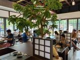 Loa nhà hàng phát nhạc nền tự động cho Katsuya The Sun Avenue, Thủ Đức, loa được thiết kế riêng cho quán, bật lớn không tạp âm, miễn phí công lắp đặt, bảo hành dài hạn 5 năm