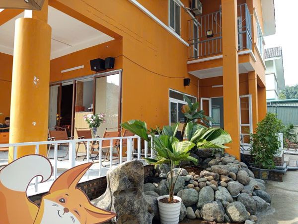 Loa treo tường phát nhạc nền cho tự động cho The Holy Garden, Hà Nội, loa được thiết kế riêng cho quán, bật lớn không tạp âm, miễn phí công lắp đặt, bảo hành dài hạn 5 năm