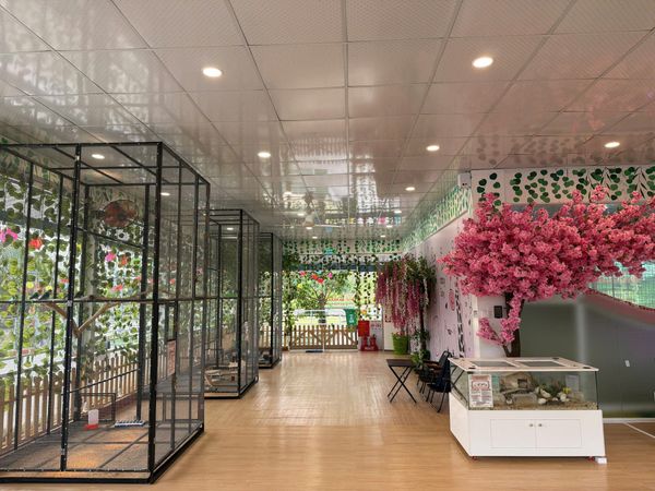 Loa khu vui chơi, phát nhạc nền tự động cho VƯỜN BE BÉ, TP Hồ Chí Minh, loa được thiết kế riêng cho quán, bật lớn không tạp âm, miễn phí công lắp đặt, bảo hành dài hạn 5 năm