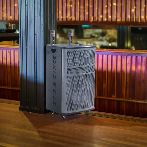 Loa kéo SVA152 Goldsound (Bass 40cm, 750w, kèm 2 Micro, pin 3-4H)