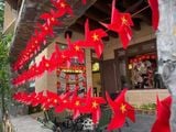 Loa treo tường phát nhạc nền cho Shan - Trà Cổ thụ Vĩnh Phúc, loa được thiết kế riêng cho quán, bật lớn không tạp âm, miễn phí công lắp đặt, bảo hành dài hạn 5 năm