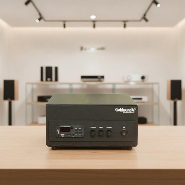 Dàn loa sân vườn: Amply A156PU Goldsound 200w + 4 loa treo tường ngoài trời V102NT Goldsound - 17w, loa được thiết kế riêng cho quán, bật lớn không tạp âm, không bao gồm công lắp đặt, bảo hành 12 tháng