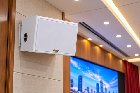 Loa treo tường V138 (Số lượng 1 loa), công suất 138w, loa bass 20 cm, chuyên hội trường, phòng họp, toà nhà, văn phòng không gian lớn