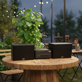 Dàn loa treo tường: Amply A384PU - 2K Goldsound 2 vùng âm lượng 380w + 2 loa Goldsound V130 - 130w, loa được thiết kế riêng cho quán, bật lớn không tạp âm, miễn phí công lắp đặt, bảo hành dài hạn 5 năm.