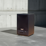 Dàn loa không dây treo tường: 01 amply A57-SG Goldsound + 2 loa không dây Goldsound V57-SG 57w