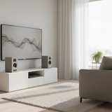 Loa vi tính HIFI 2.0 GS55