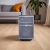 Loa kéo D570 Goldsound (Bass 40cm, 750w, kèm 2 Micro, pin 3-4H)